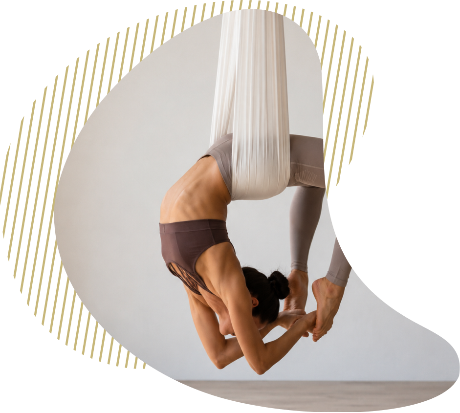 Members suspended in aerial hammocks